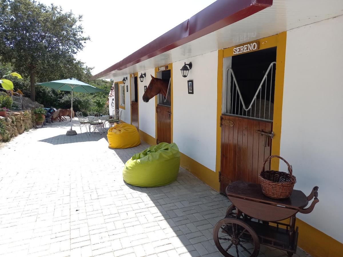 Casinha De Ferias No Campo - Quintinha Dos Cavalos - Arruda Dos Vinhos Sabugos Exterior foto